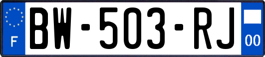 BW-503-RJ