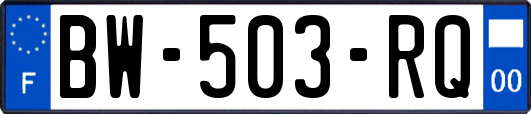 BW-503-RQ