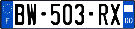 BW-503-RX