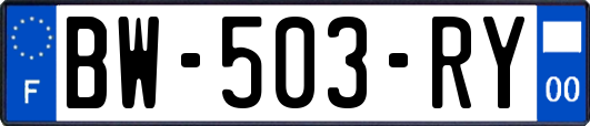 BW-503-RY
