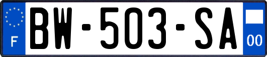 BW-503-SA