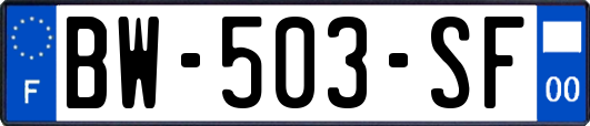 BW-503-SF