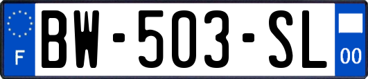 BW-503-SL