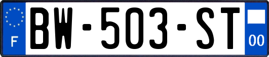 BW-503-ST