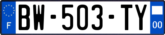 BW-503-TY
