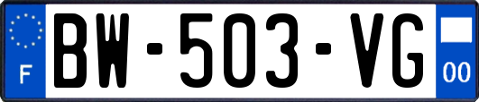 BW-503-VG