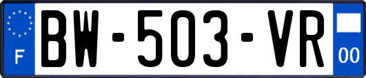 BW-503-VR