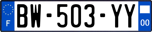 BW-503-YY