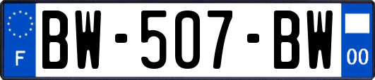 BW-507-BW