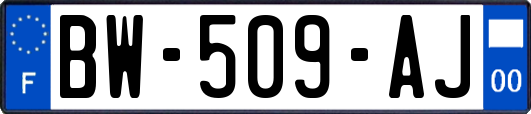 BW-509-AJ