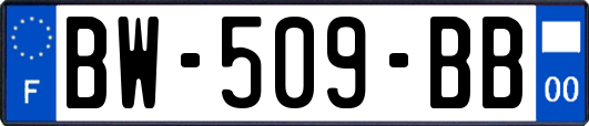 BW-509-BB