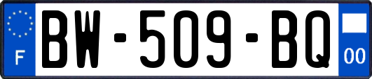 BW-509-BQ