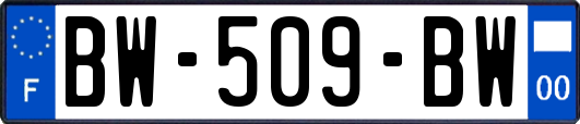 BW-509-BW