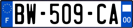 BW-509-CA