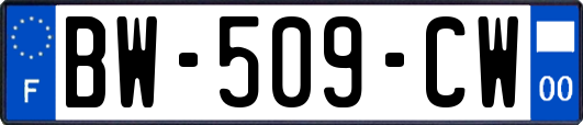 BW-509-CW