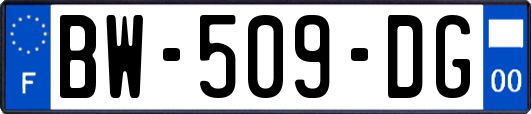 BW-509-DG