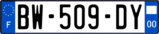 BW-509-DY