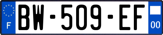 BW-509-EF