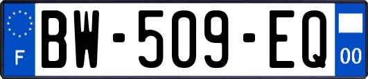 BW-509-EQ