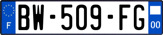 BW-509-FG