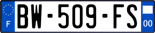 BW-509-FS