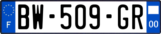 BW-509-GR