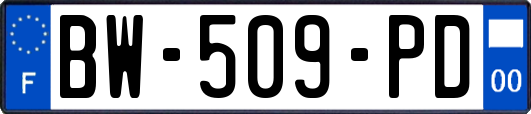 BW-509-PD