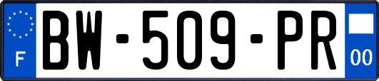 BW-509-PR