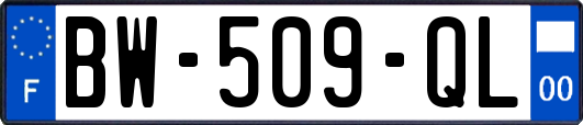 BW-509-QL