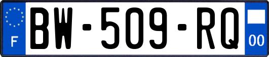 BW-509-RQ