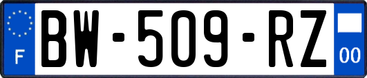 BW-509-RZ