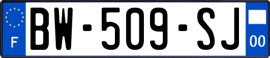 BW-509-SJ