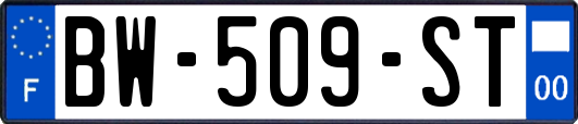 BW-509-ST