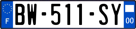BW-511-SY