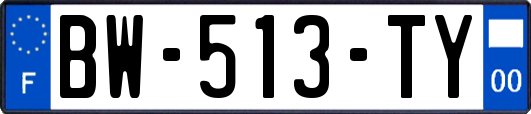 BW-513-TY