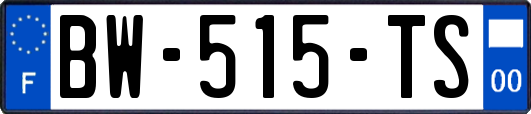 BW-515-TS