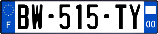 BW-515-TY