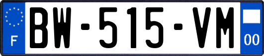 BW-515-VM