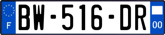 BW-516-DR