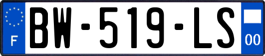 BW-519-LS