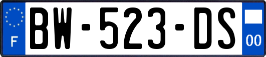 BW-523-DS