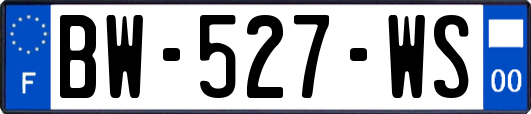 BW-527-WS