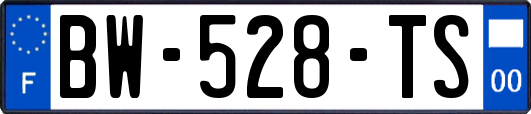 BW-528-TS