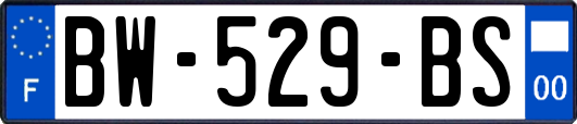 BW-529-BS