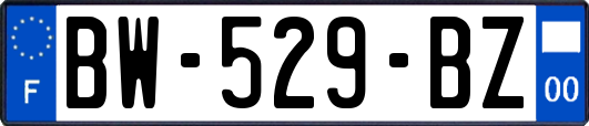 BW-529-BZ