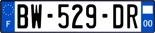 BW-529-DR