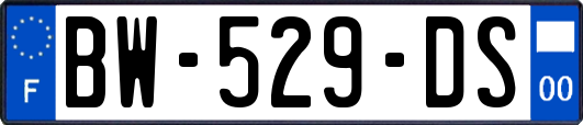 BW-529-DS