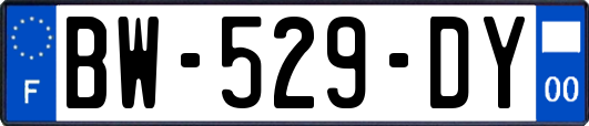 BW-529-DY