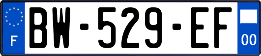 BW-529-EF