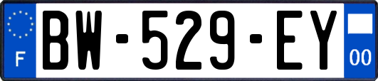 BW-529-EY